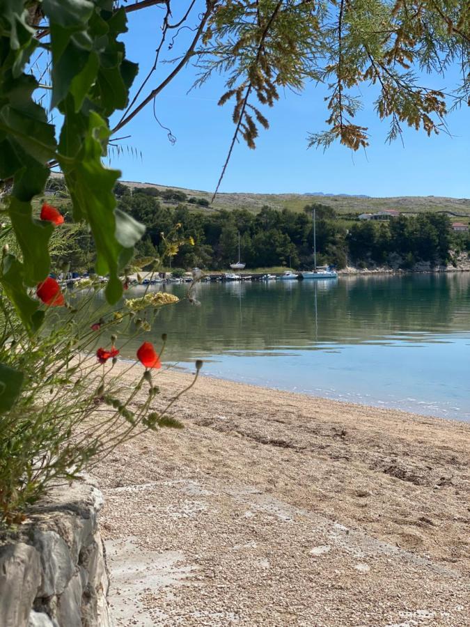Villa Cvita بوفليانا المظهر الخارجي الصورة
