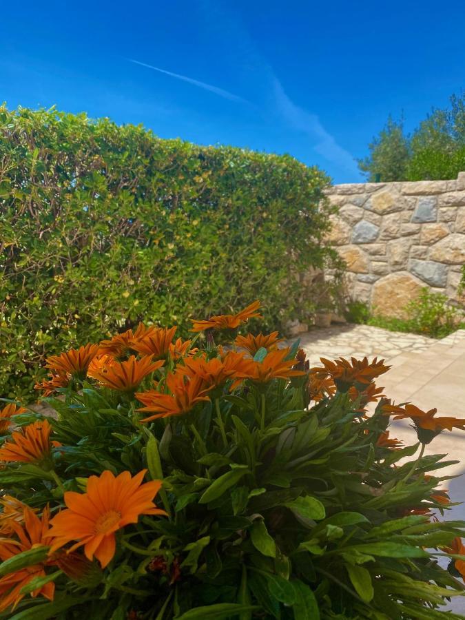 Villa Cvita بوفليانا المظهر الخارجي الصورة