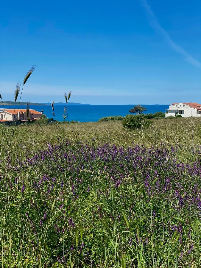 Villa Cvita بوفليانا المظهر الخارجي الصورة