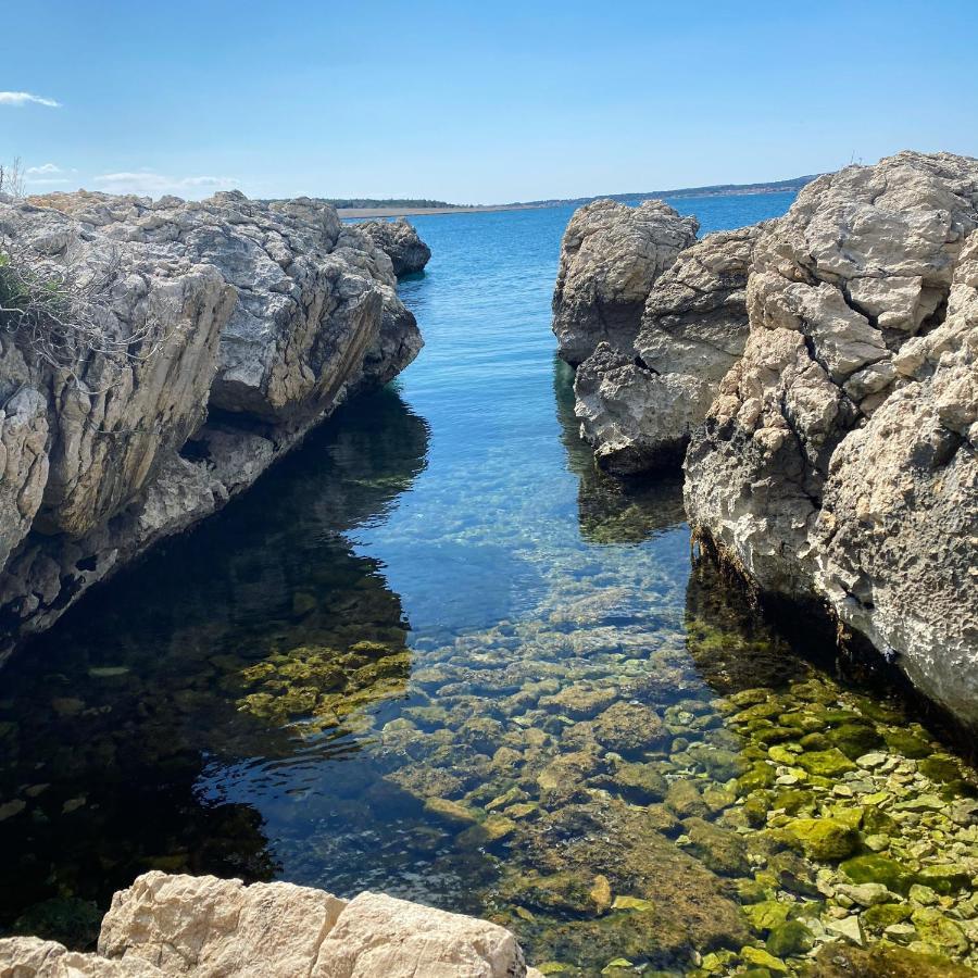 Villa Cvita بوفليانا المظهر الخارجي الصورة