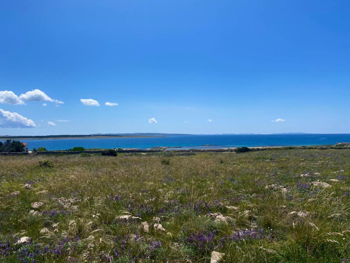 Villa Cvita بوفليانا المظهر الخارجي الصورة